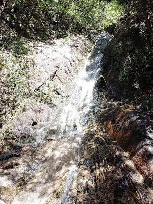 2024-05-05_09-28-10.jpg (344.33 KiB) 閲覧された回数 4442 回 上不動滝