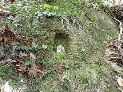 2024-05-05_09-45-55.jpg (303.03 KiB) 閲覧された回数 4443 回 可愛い石仏②