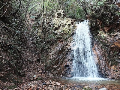 2024-04-06_12-48-36~2.jpg (302.27 KiB) 閲覧された回数 2794 回 御所滝の左側を降りてきます