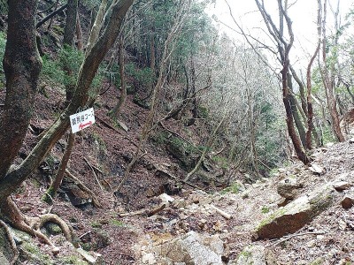 2024-04-06_11-45-31~2.jpg (286.6 KiB) 閲覧された回数 2794 回 御所谷コースの標識