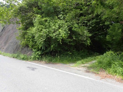 P5090015.jpg (107.89 KiB) 閲覧された回数 4648 回 七日市側登り口