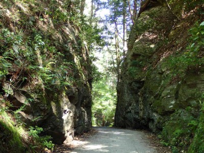 P5090079.jpg (138.26 KiB) 閲覧された回数 4660 回 珍布峠の切り通し