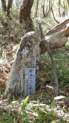 P5180328.jpg (494.09 KiB) 閲覧された回数 8070 回 緑水碑