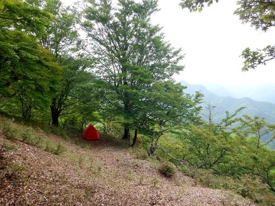 5/24は奥の平峰でテント泊でした。