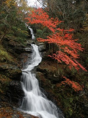 20日にキワラ不動滝