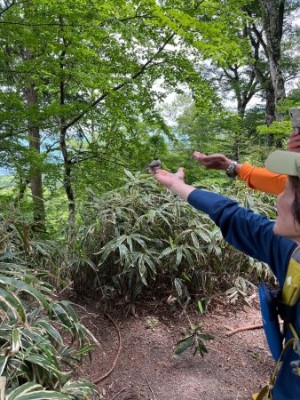 餌付けで手に乗る野鳥s.jpg (63.8 KiB) 閲覧された回数 10008 回 餌付けは楽しい