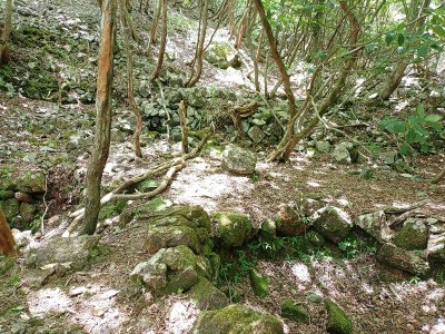 2連と1個.jpg (269.41 KiB) 閲覧された回数 4469 回 その奥に2連と1個