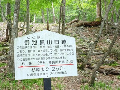 御池鉱山小学校跡の階段前にある案内看板.jpg (217.33 KiB) 閲覧された回数 4469 回 小学校跡階段前にある案内看板