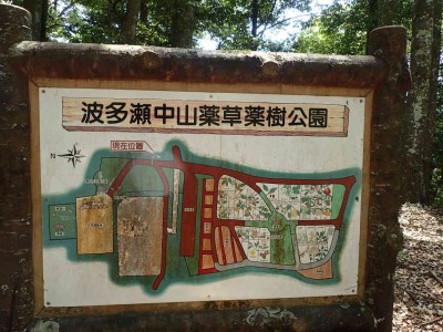 薬草園