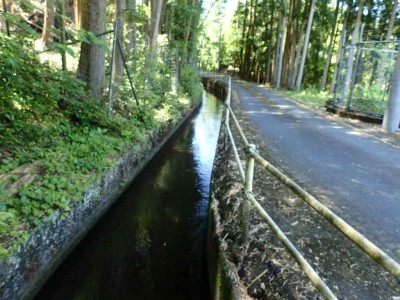 P6050047.jpg (81.84 KiB) 閲覧された回数 6089 回 用水中流部