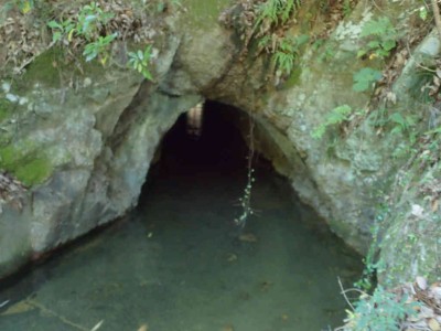 P6050070.jpg (52.27 KiB) 閲覧された回数 6089 回 素掘りのトンネル