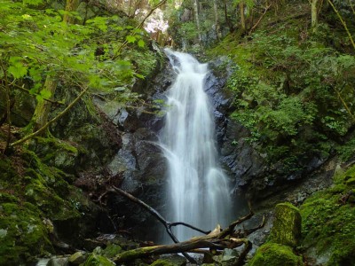 P7180027.jpg (104.4 KiB) 閲覧された回数 10371 回 8m滝