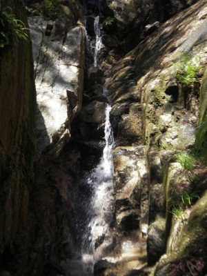 IMGP0723.JPG (83.27 KiB) 閲覧された回数 7709 回 無名谷二段滝