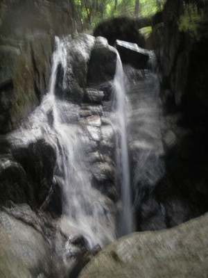 IMGP0728.JPG (62.83 KiB) 閲覧された回数 7709 回 シャワーフォール