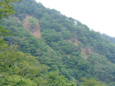 2024-08-03_11-26-54~2.jpg (192.73 KiB) 閲覧された回数 10149 回 多志田山南の崩壊