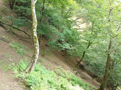 崩壊状況を確認しに通過は無理です