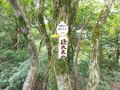 2024-09-16_12-47-15.jpg (299.46 KiB) 閲覧された回数 4864 回 インターチェンジだった孫大夫山