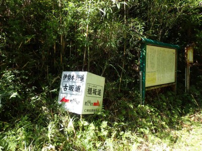 P9250022.jpg (135.66 KiB) 閲覧された回数 7233 回 古坂道と櫃坂道の分岐