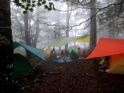 20240928-12.jpg (98.45 KiB) 閲覧された回数 11348 回 20240928-12.jpg