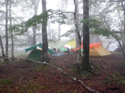 20240928-23.jpg (115.49 KiB) 閲覧された回数 11348 回 20240928-23.jpg