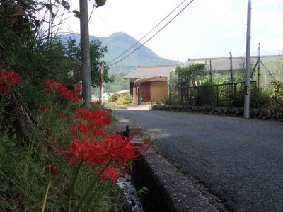 PA020041.jpg (85.72 KiB) 閲覧された回数 5680 回 彼岸花のある風景