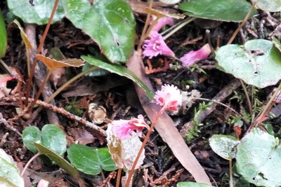 水無山直下にて