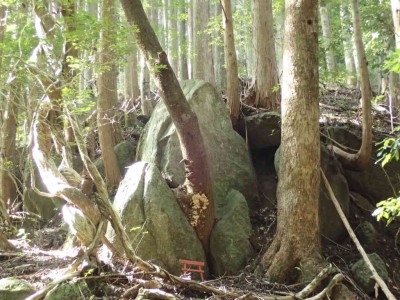 PA020052.jpg (97.31 KiB) 閲覧された回数 5681 回 姫石明神