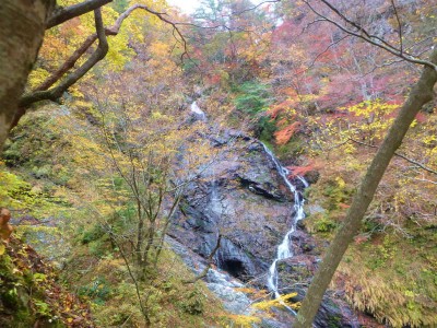 奥ノ平谷サスケ滝