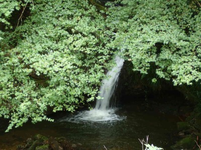 PA090036.jpg (126.38 KiB) 閲覧された回数 5126 回 オトバヤの滝