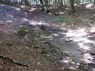 水のない迷い池