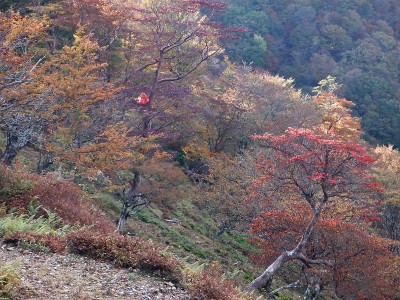 奥の平峰・グー宿