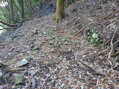 2024-11-04_09-37-52~2.jpg (301.1 KiB) 閲覧された回数 3349 回 平場に石積と石