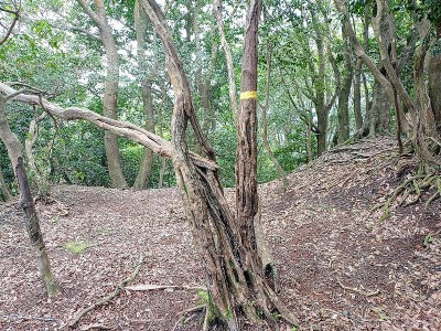 2024-11-04_10-30-51~2.jpg (307.43 KiB) 閲覧された回数 3349 回 P614