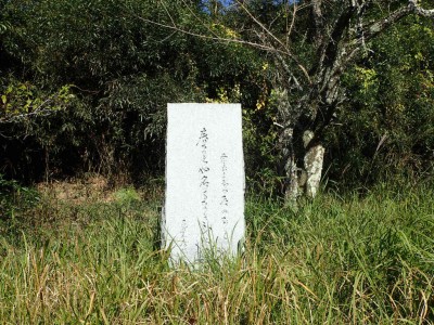 PB060070.jpg (163.92 KiB) 閲覧された回数 4297 回 芭蕉句碑