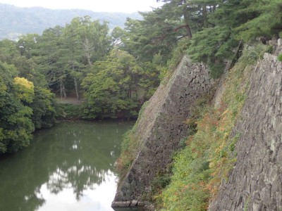 PB060099.jpg (84.27 KiB) 閲覧された回数 4307 回 石垣