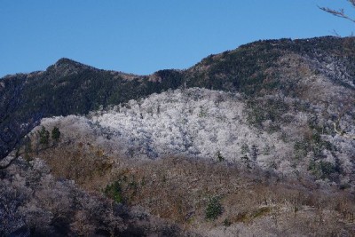 IMGP1157.JPG (78.8 KiB) 閲覧された回数 5339 回 右上に弥山小屋が見えるが、白いのはもっと下