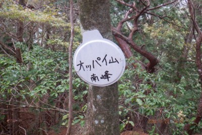 DSCF3300@.JPG (149.01 KiB) 閲覧された回数 6930 回 オッパイ