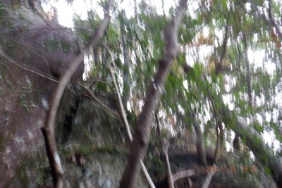 DSCF3310@.JPG (111.56 KiB) 閲覧された回数 6930 回 最後の一手