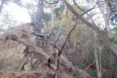 梵字が書いてあったかもしれない岩