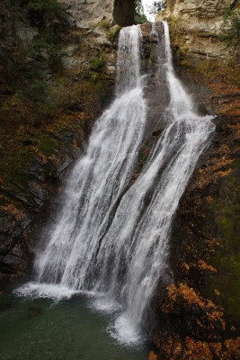 IMGP3336.JPG (174.43 KiB) 閲覧された回数 3396 回 白滝(再掲)