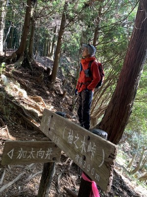 1734311698634.jpg (280.62 KiB) 閲覧された回数 6811 回 柚子之木峠