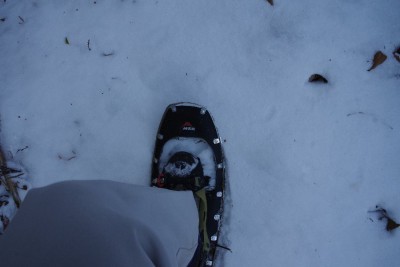 IMGP3753.JPG (56.75 KiB) 閲覧された回数 12560 回 ライトニングエクスプローラ