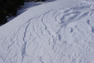 IMGP3836.JPG (92.56 KiB) 閲覧された回数 12560 回 シュカブラ