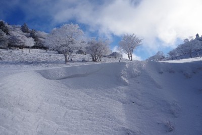 ワサビ谷源頭部の雪庇