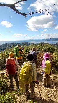 熊野灘の海を眺めて