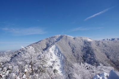 IMGP4213.JPG (135.9 KiB) 閲覧された回数 2940 回 文三ハゲと綿向山頂