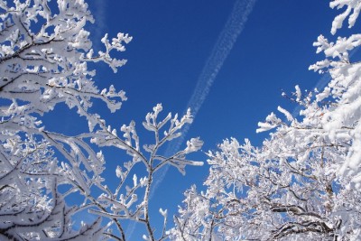 IMGP4224.JPG (168.97 KiB) 閲覧された回数 2939 回 青空霧氷と飛行機雲