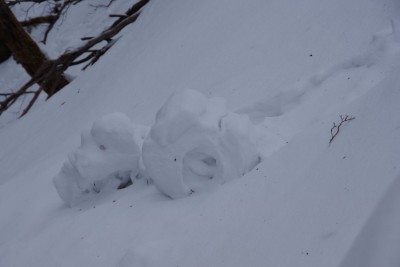 IMGP4529.JPG (36.87 KiB) 閲覧された回数 3615 回 超巨大バームクーヘン