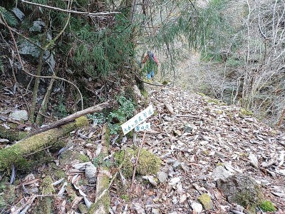 2024-12-28_08-57-36~2.jpg (302.81 KiB) 閲覧された回数 5930 回 大台ヶ原尾鷲道 登山口