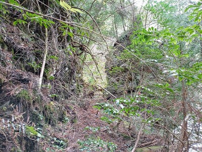 2024-12-28_09-18-00~2.jpg (288.42 KiB) 閲覧された回数 5938 回 上のインクラインからの切通し